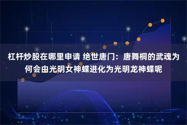 杠杆炒股在哪里申请 绝世唐门：唐舞桐的武魂为何会由光明女神蝶进化为光明龙神蝶呢