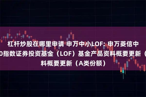 杠杆炒股在哪里申请 申万中小LOF: 申万菱信中小企业100指数证券投资基金（LOF）基金产品资料概要更新（A类份额）