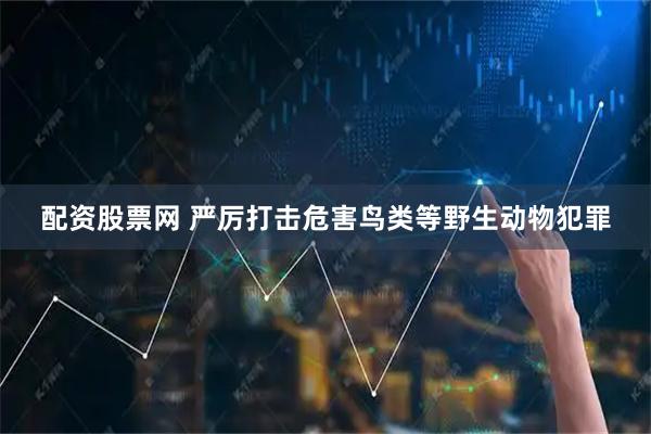 配资股票网 严厉打击危害鸟类等野生动物犯罪